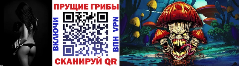 Псилоцибиновые грибы GOLDEN TEACHER Чёрмоз